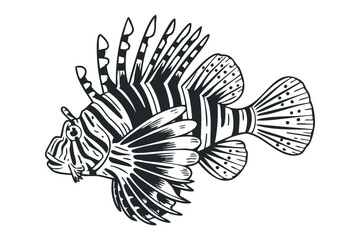 Lionfish outline transparent. Vector hand drawn illustration