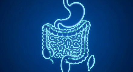 Photo of a neon blue outline of the human digestive system, including the stomach and intestines, glows against a dark blue background