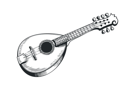 mandolin sketch black and white musical instrument clip art preview
