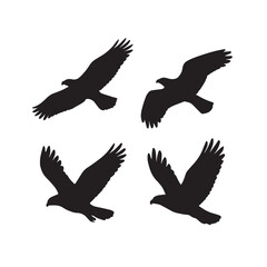 Obraz premium Bird in Flight Silhouette