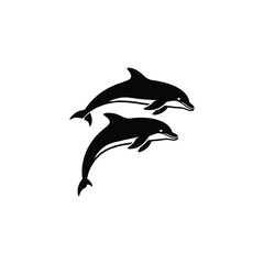 Two Bottlenose Dolphins Illustration