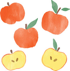 watercolor appels illustration art set