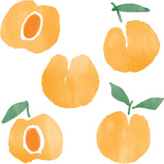 watercolor peaches illustration art set
