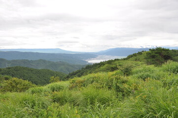 Fototapeta premium 草原