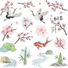 Create a kinds of deferent Spring handwritten Japanese-style watercolor illustration set vector art with white background.