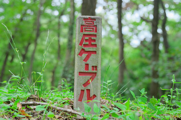 森の中に立つ高圧ケーブル標識