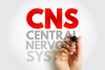 CNS - Central Nervous System is the part of the nervous system consisting primarily of the brain and spinal cord, acronym text concept background