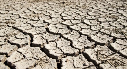 Cracked dry earth landscape, parched soil of a drought-stricken area
