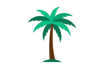 palm tree on white background