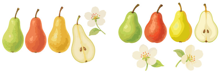 Vibrant collection of colorful pears, whole and halved with visible seeds, accompanied by delicate white pear blossoms, showcasing fresh natural produce