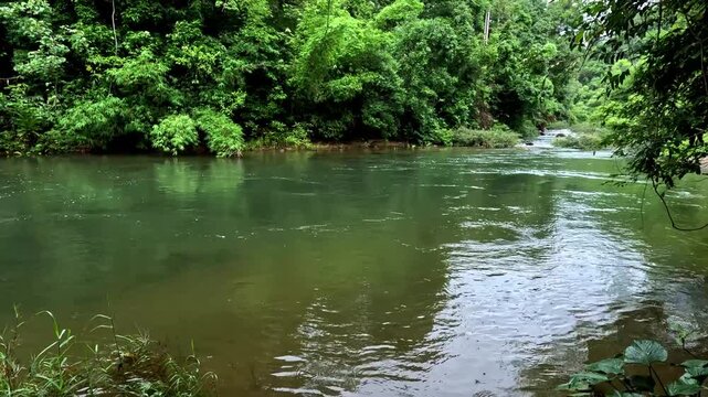 Candid POV walking leisurely heading towards tranquil flowing water surrounded by lush tropical jungle foliage in Khao Phanom Bencha National Park in Krabi, Thailand
