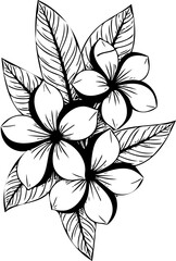 black and white flower vector