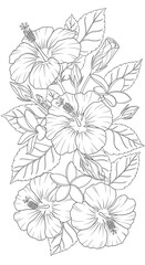 Detailed botanical illustration of hibiscus and plumeria blossom motif