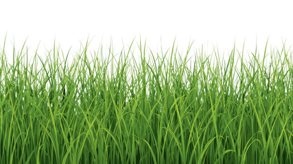 Obraz premium Lush Green Grass Seamless Texture - Nature Background