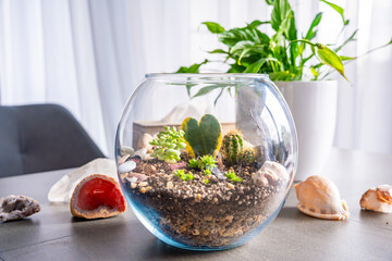 Completed terrarium with cacti, stones and decorative elements in a glass container. Concept of...