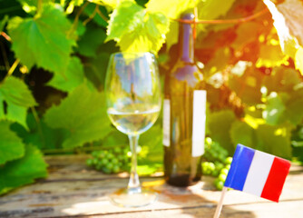 Wine glass with wine bottle of white wine on table in vineyard. France flag on Grape leaves background. Tasting white wine in French vineyard vines. French Drinking Culture. Winery, Winemaking.
