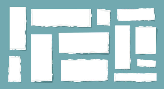 Collection of torn paper pieces on a teal background.
