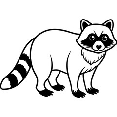 Modern Raccoon Line Art Vector