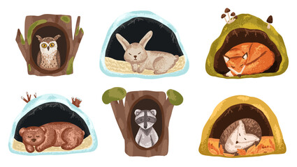 Animal underground den for bear and hedgehog. Forest home in tree and soil for winter sleeping