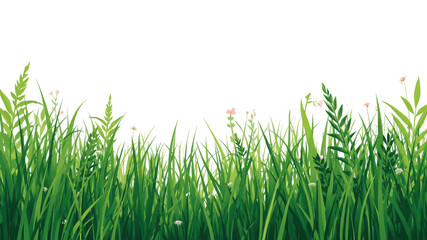 Lush Green Grass Border with Delicate Wildflowers