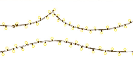 Festive String Lights Decoration for Celebrations and Events Occasions