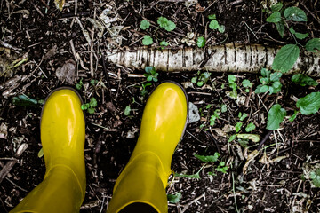 a first-person perspective looking down at a pair of vibrant yellow rain boots standing on a forest...