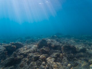 Beautiful sun rays stream through the deep blue ocean, illuminating the rocky seabed in this serene and quiet underwater background.