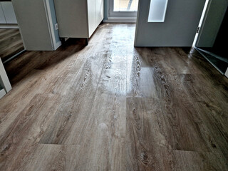 mopping vinyl floors. bucket of water is for soaking a rag or mop. cleaning services. international...