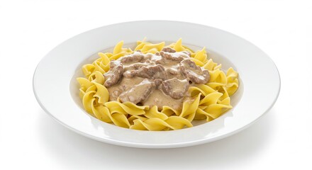 Beef Stroganoff Plate Creamy Mushroom Gravy and Egg Noodles