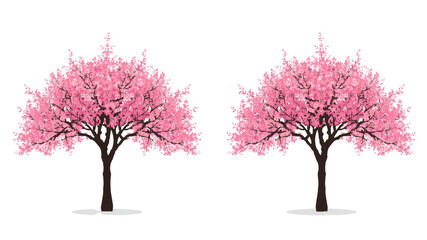 Obraz premium Pair of Blooming Pink Cherry Blossom Trees, Springtime Nature Illustration