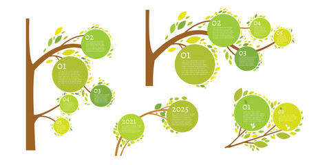 Vector infographic with green tree branches and circles for data visualization.