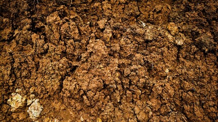 Rich Brown Earth Texture Background for Agriculture and Gardening