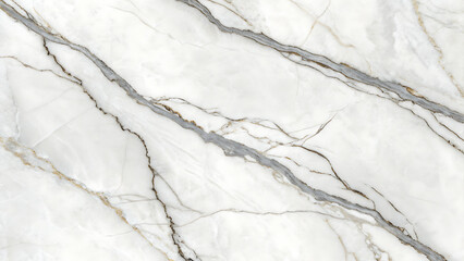 Elegant white marble with subtle gray veining texture
