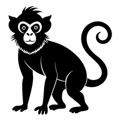 Monkey black silhouette
