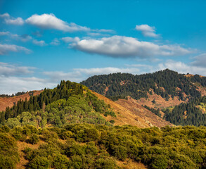 mountain landscape in the morning