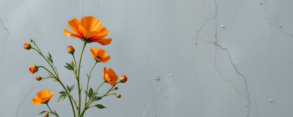 Orange Flower with Green Leaves Textured Gray Background