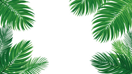 Lush Tropical Palm Leaves Frame on Transparent Background - Summer Vacation Design Element