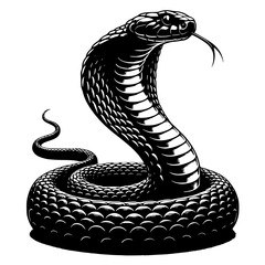 Fototapeta premium King Cobra vector image illustration 