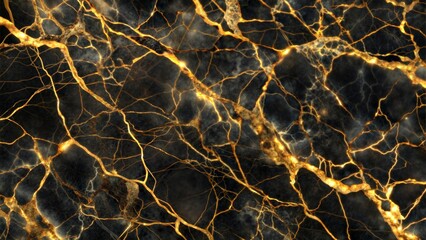 Black marble texture with intricate golden veins image.