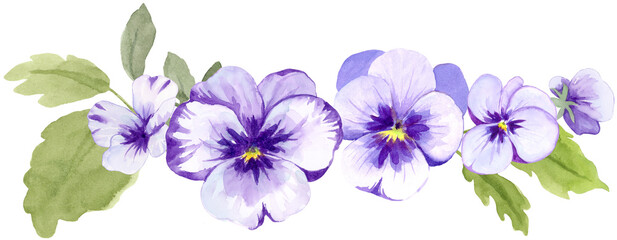 Purple Pansies Border Watercolor Illustration on Isolated Background Clipart Hand Drawn and Painted
