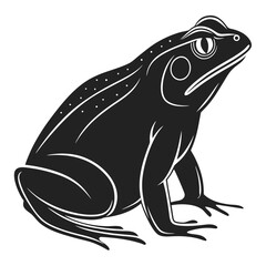 vector image of a frog