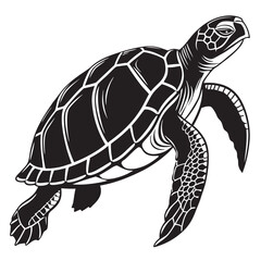 turtle vector illustration