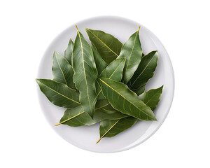 View of some fresh bay leaves on a white plate