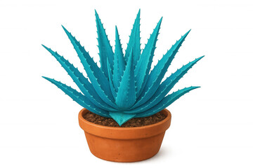 Fototapeta premium Turquoise aloe vera plant growing in terracotta pot, rendered in 3d with transparent background
