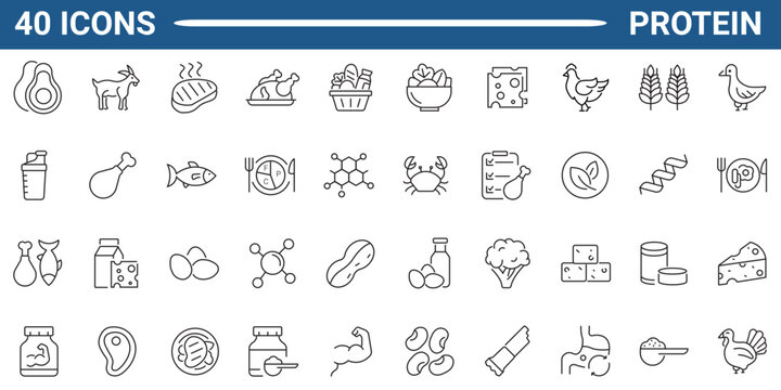 Set of 35 outline icons related to protein. Linear icon collection. Editable stroke. Vector illustration. Modern style pictograms and infographics.
