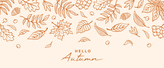 Autumn card, banner or poster with hand drawn leaves in line sketch style. Fall doodle leaf oak, maple, chestnut, acorn, berry rowan. Trendy seasonal background. Vector illustration.