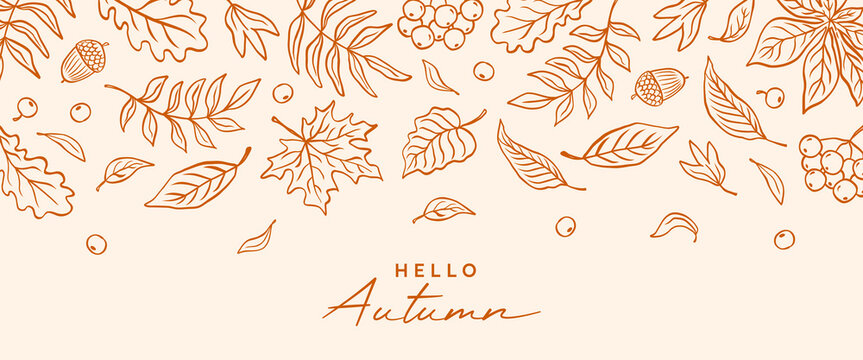 Autumn card, banner or poster with hand drawn leaves in line sketch style. Fall doodle leaf oak, maple, chestnut, acorn, berry rowan. Trendy seasonal background. Vector illustration. - Powered by Adobe