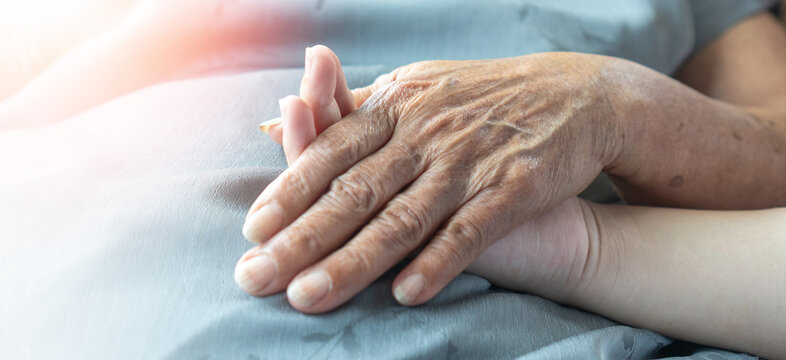 Elderly female hand holding hand of young caregiver at nursing home.Geriatric doctor or geriatrician concept. Doctor physician hand on happy elderly senior patient to comfort in hospital examination