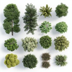 Obraz premium Top view of various plants and trees, isolated on a white background. 3D rendering