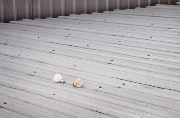 Badminton shuttlecock it had been stuck on metal sheet roof of a parking lot. background copy space.